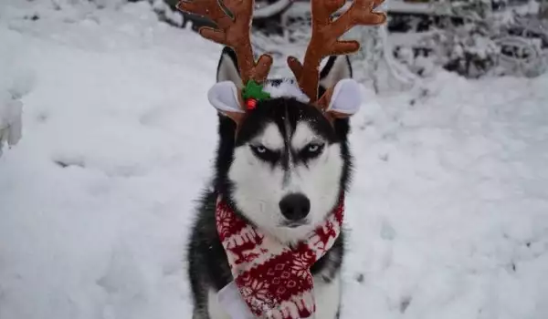 Зима