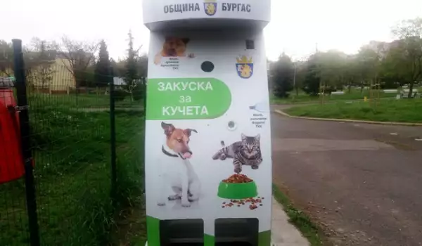 Автомат за кучешка храна