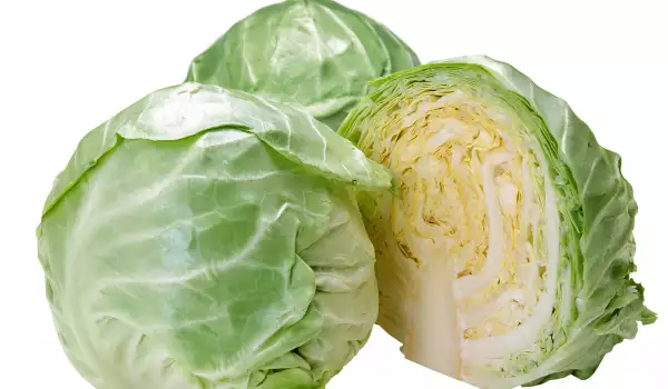 Зелето е подходящ зеленчук за кучета