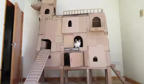 котка и замък