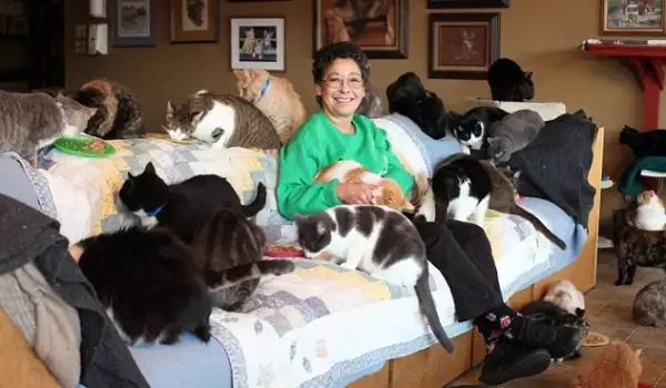 Линеа и котките ѝ