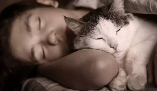 Защо всъщност котките спят при стопаните си?
