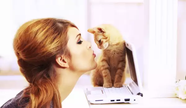 Обичат ли котките да бъдат целувани?
