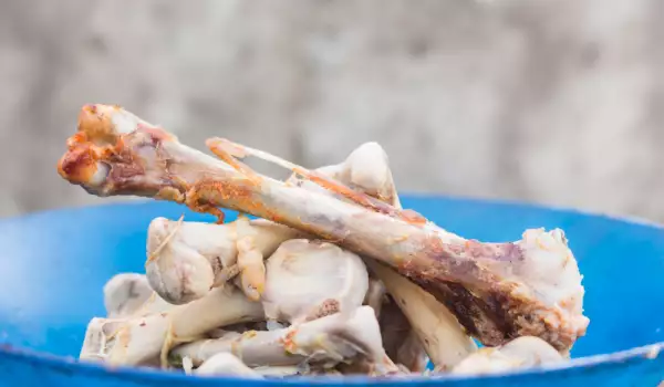 Опасно ли е да храните кучето с кости и кокали?