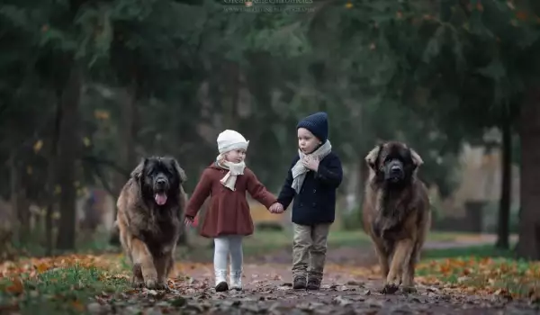 Вижте тези очарователни дечица и техните огромни кучета