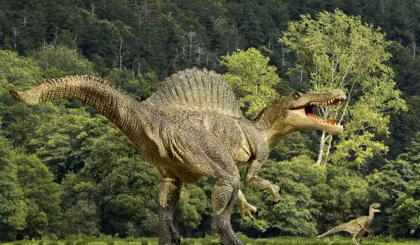 Динозаври в България – имало е и още как