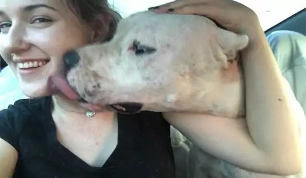 Американец намери кучето си, изчезнало след урагана Харви