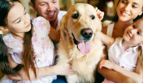 щастливо семейство с куче