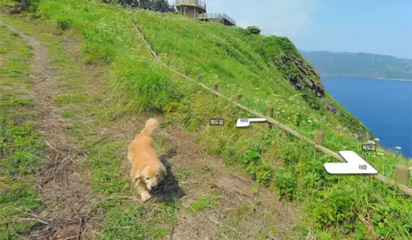 Куче направи фото бомба на Google Street View