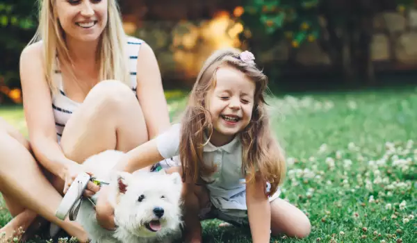 Подходящи породи кучета за деца на 5 години