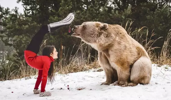 Фотосесията на гимнастичка и мечка взриви мрежата