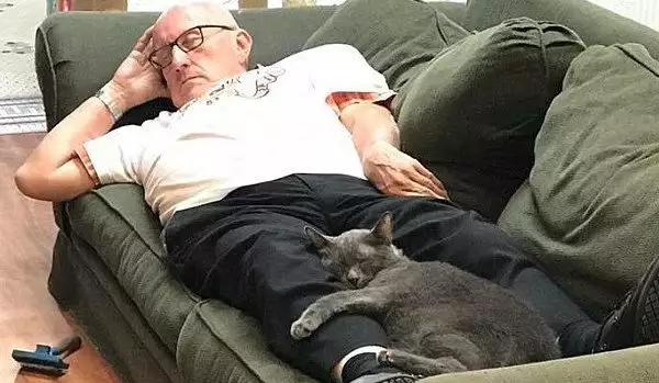 Тери се гушка с котките
