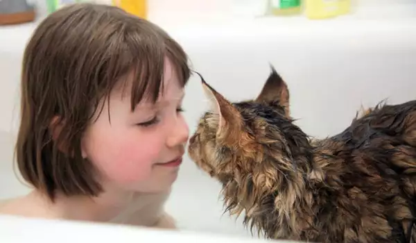 Коте промени живота на момиченце с аутизъм