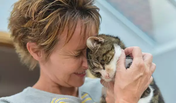 След 13-годишно скитане: Котка-беглец се върна у дома