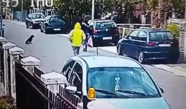 Герой! Улично куче спаси жена от нагъл крадец