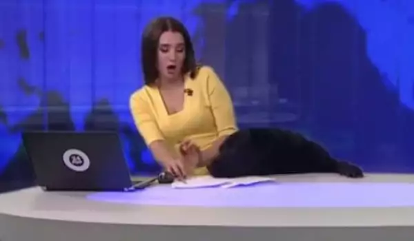 На живо: Куче изкара акъла на новинарка в Русия
