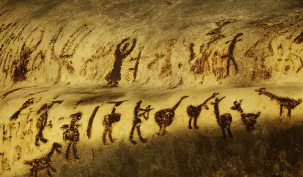 Преди 10 000 години: Откриха кой и къде е опитомил първите кучета