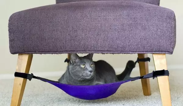 Чудати и забавни мебели за котките и техните стопани