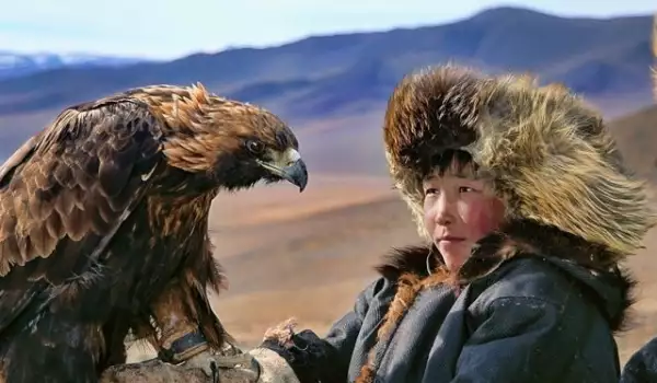 Елени