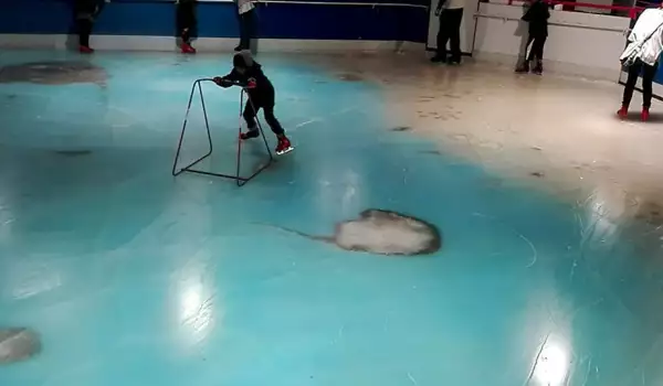 Пързалка със замразени риби