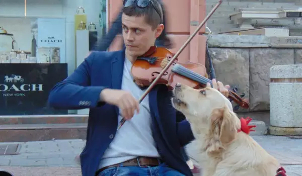 Пеещо куче е новата голяма атракция в Пловдив
