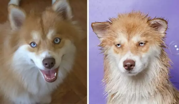 Преди и след баня