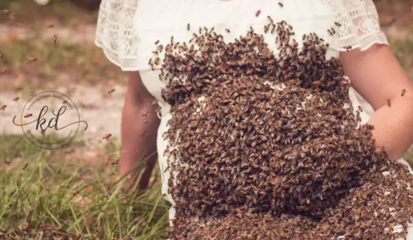 Бременна жена позира с десетки хиляди пчели, за да докаже, че не са страшни