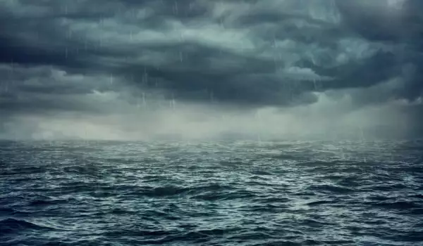 Нарвалът живее във водата