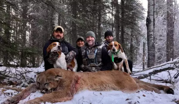 Наглец: Телевизионен водещ уби планински лъв и качи снимка във Facebook