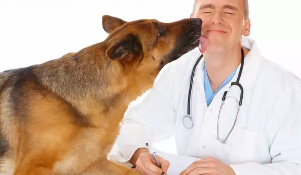 Ветеринарен лекар