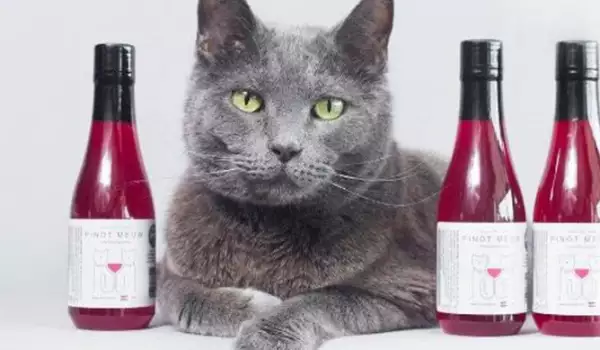 Вино за котки