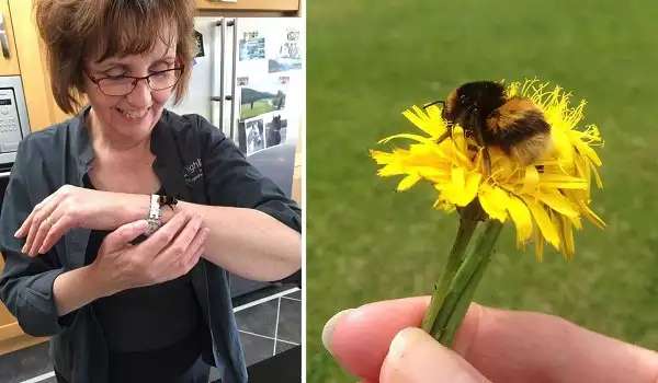 Жена спаси земна пчела и спечели приятелството ѝ