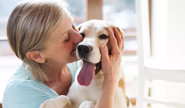 Как кучето ви да живее по-дълго и щастливо