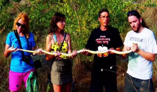 Заловиха рекордна 2-метрова змия край Бургас