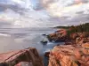 Страховито! Вижте какво чудовище изплува от океана