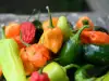 Каролина Рийпър - най-лютите чушки в света