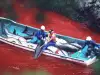5-годишни се включиха в избиване на китове
