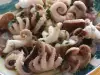 Баровци гледат в аквариум най-отровната твар на планетата