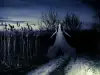 Опасен дух тероризира тайландско село