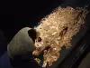 Откриха съкровище край Бургас