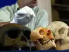 Скелети на хобити доказаха, че те не са измислени същества
