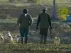 Магически съвети за избиране на куче
