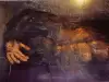 Снежният човек от Минесота
