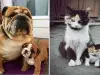 Имате лош ден! Погледнете тези животни и помислете отново