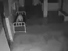 Невиждано! Камера в болница засне как човешката душа напуска тяло