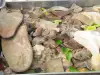 Подходящи подправки за карантия