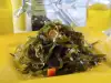 Внимание! Водораслите келп крият тъмна страна