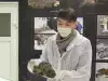 Ледът разкри тялото на куче, починало преди 18 000 години