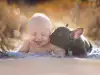 Куче и бебе се мислят за братя