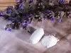 Мащерката лекува сухата кашлица
